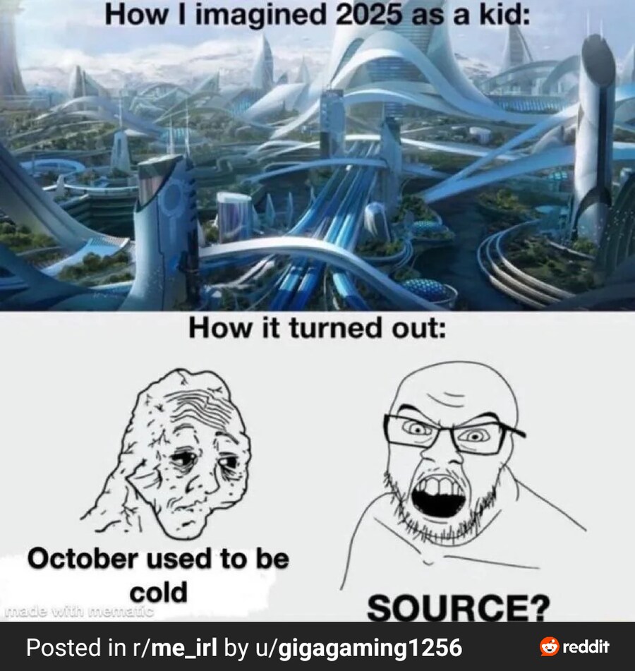 2025년 기대와 현실.jpg_1.png