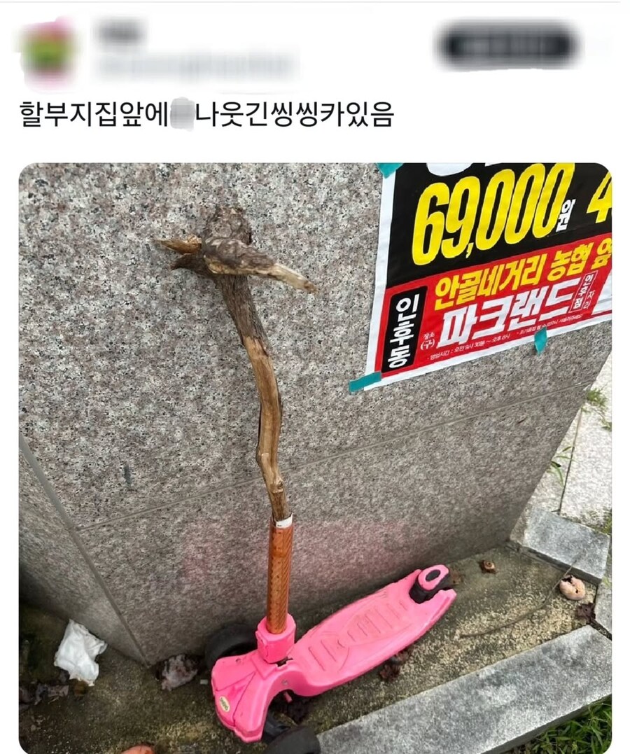 할아버지 집에서 발견된 고대 씽씽카_1.jpg