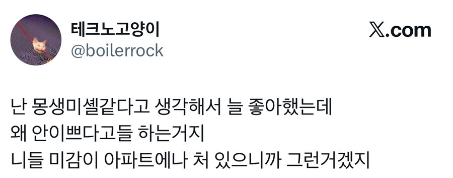 걸뱅이들이 쌓아올린 누더기집.jpg_2.jpg