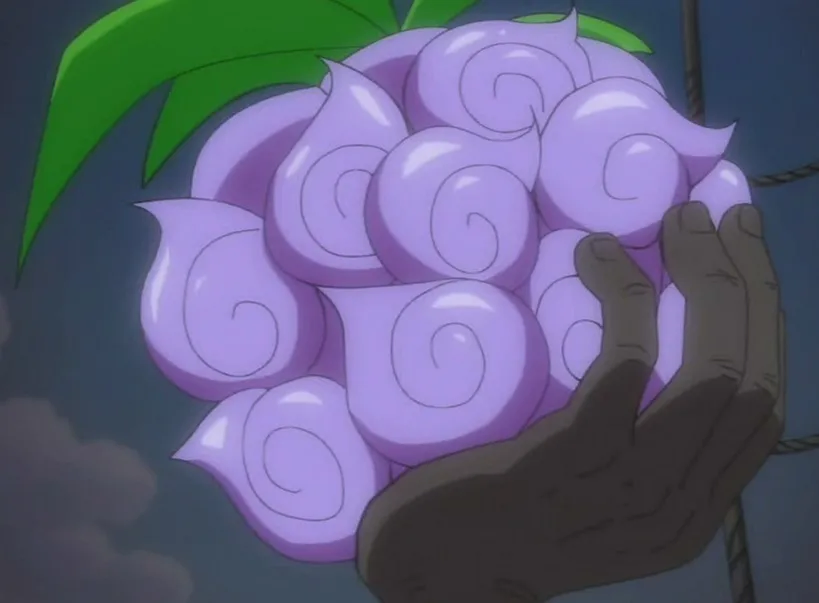 원피스 세계관에서 독특한 악마의 열매들_2.webp