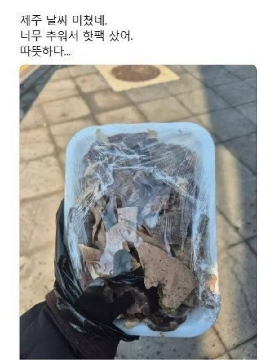 식용 가능한 핫팩_1.jpg