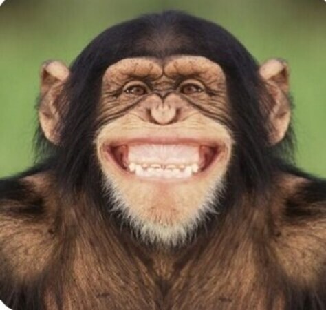 휴 콘솔 가지고 왜 싸우는건지.._2.jpg