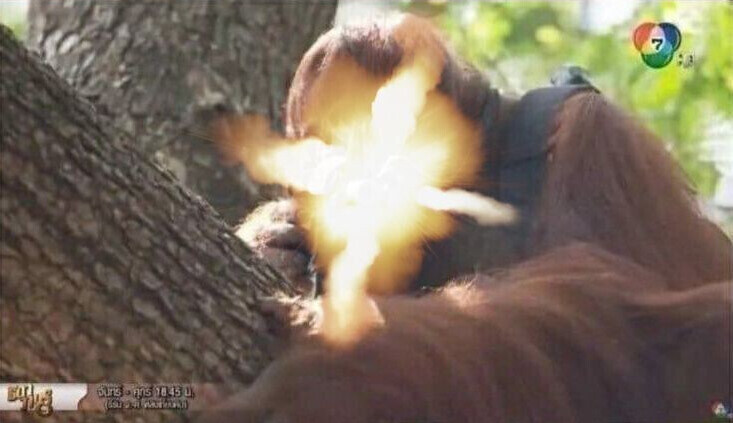 휴 콘솔 가지고 왜 싸우는건지.._3.jpg