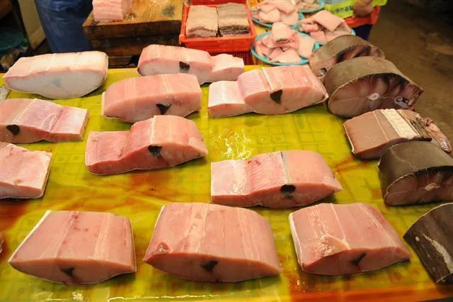 이 둘 중 고른다면 뭐 고름?_2.webp