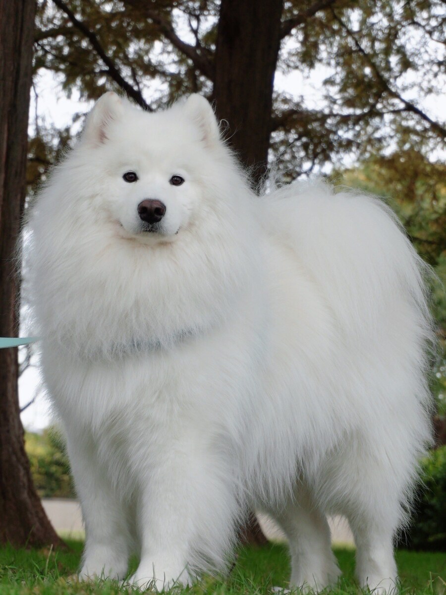 산책하다 할아버지들에게 멋지다고 박수받았다는 사모펀드.jpg_1.jpg