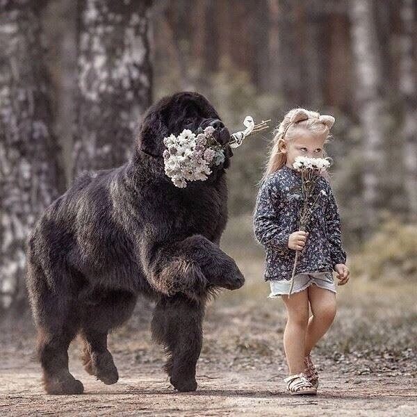 작은 쭈인과즐거운 산책.jpg_1.jpg