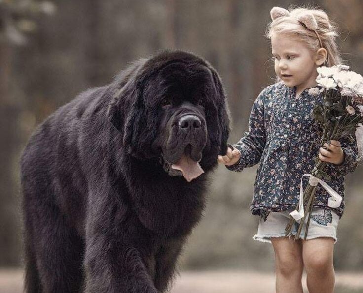 작은 쭈인과즐거운 산책.jpg_2.jpg