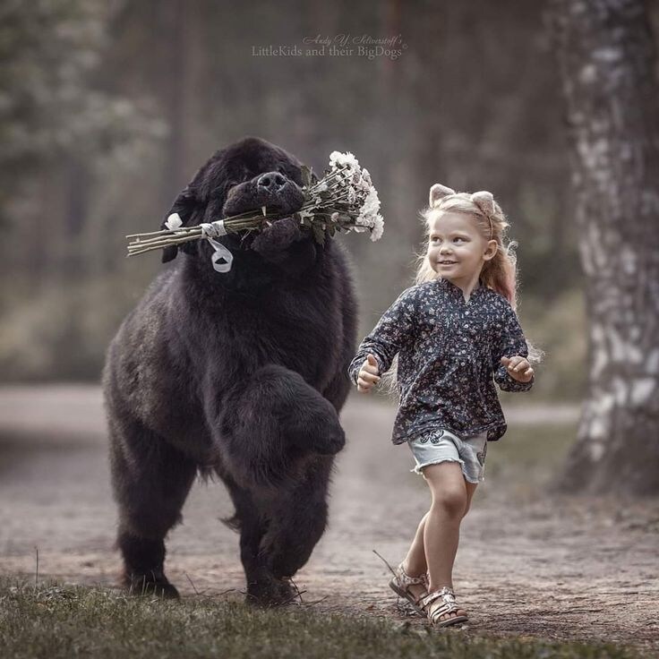 작은 쭈인과즐거운 산책.jpg_3.jpg