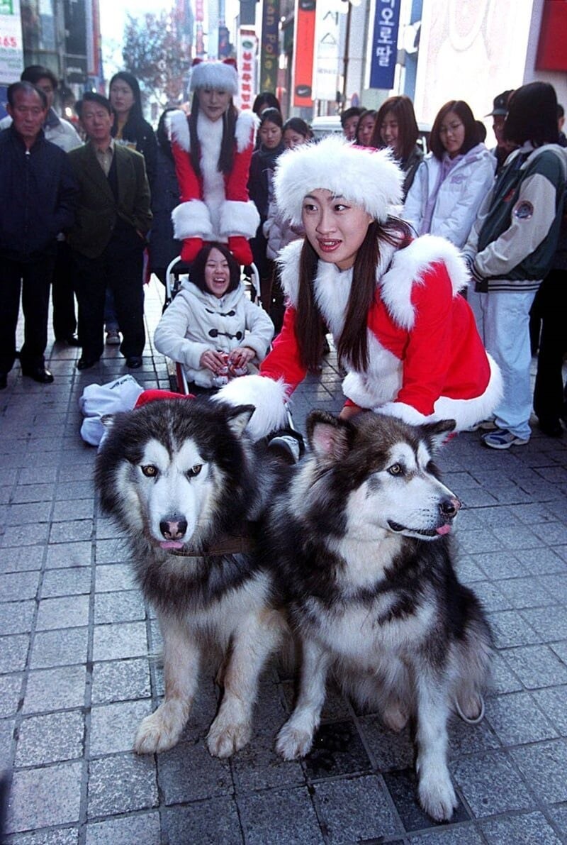 2000년대 크리스마스 분위기_2.jpg