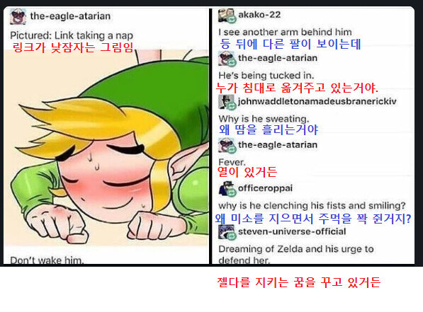 낮잠자는 링크_1.jpg