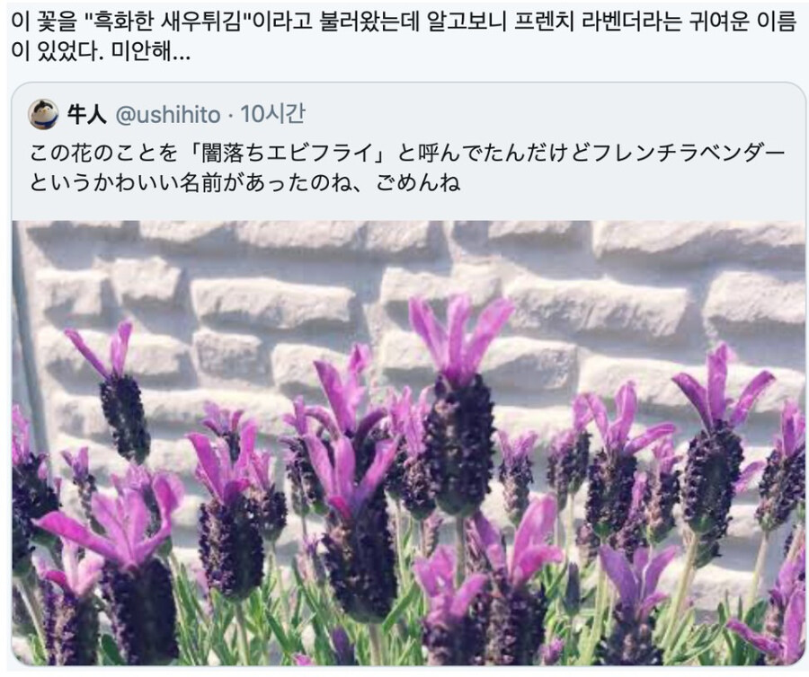 흑화한 새우튀김_1.jpg