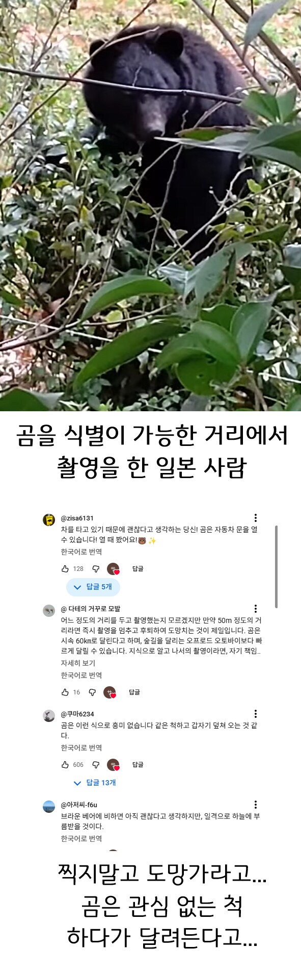 일본에서 올라오는 곰 목격담 영상 특징._1.png