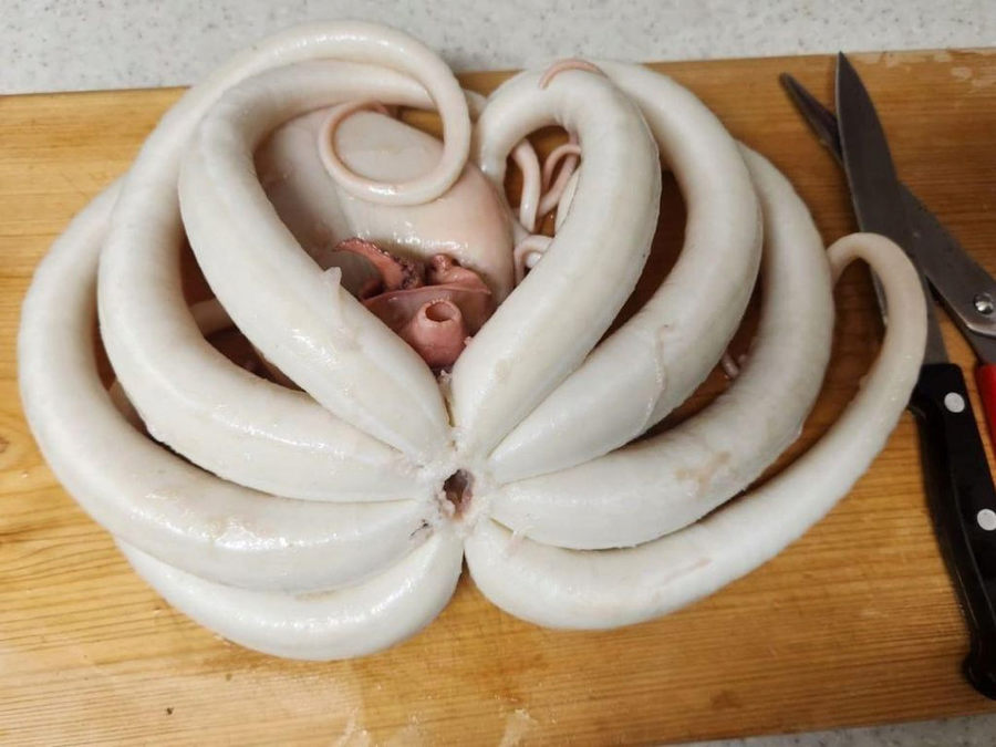 해산물 세척 3대장_6.webp