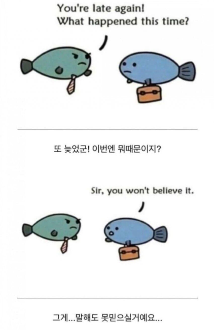 물고기가 지각한 이유 jpg._1.jpg