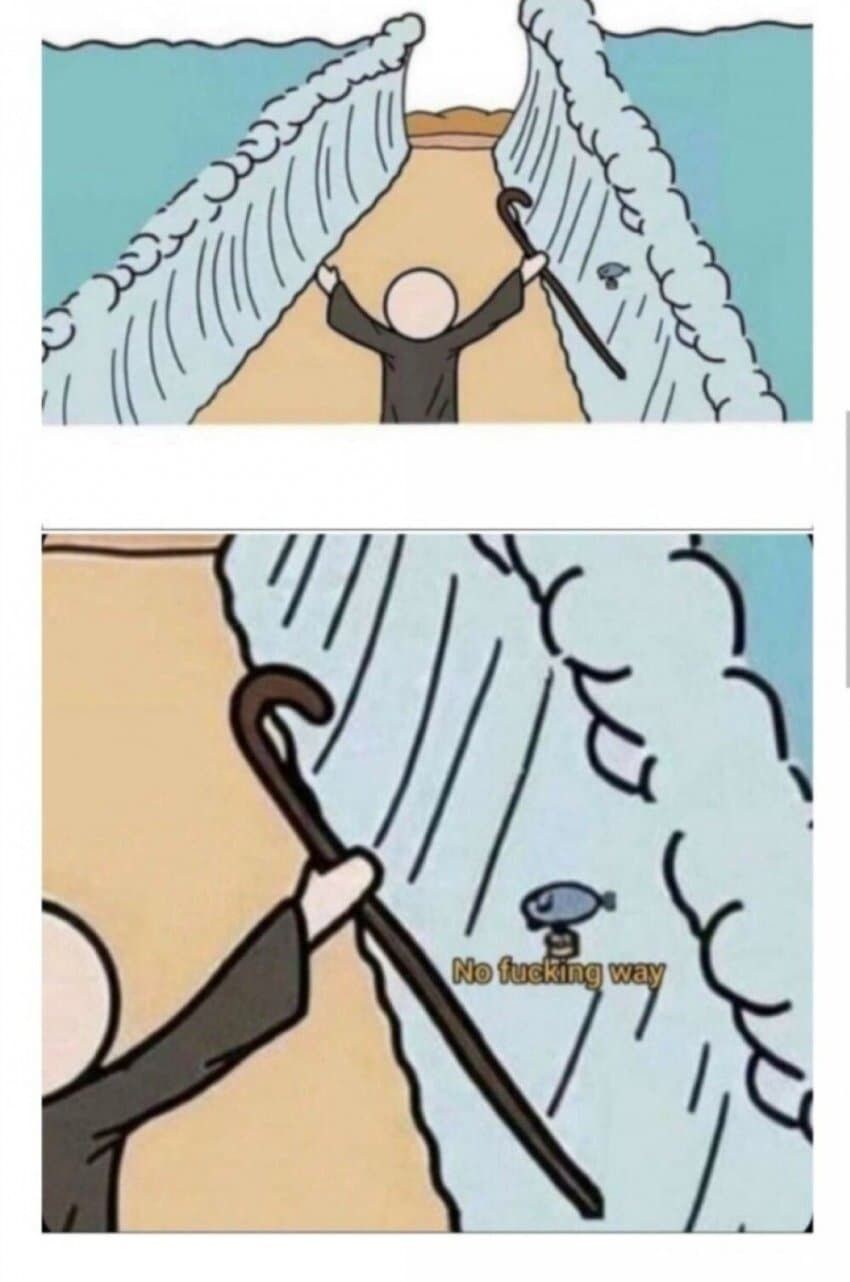 물고기가 지각한 이유 jpg._2.jpg