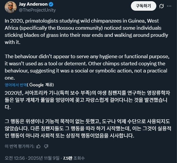 야생 침팬치의 패션_2.jpg