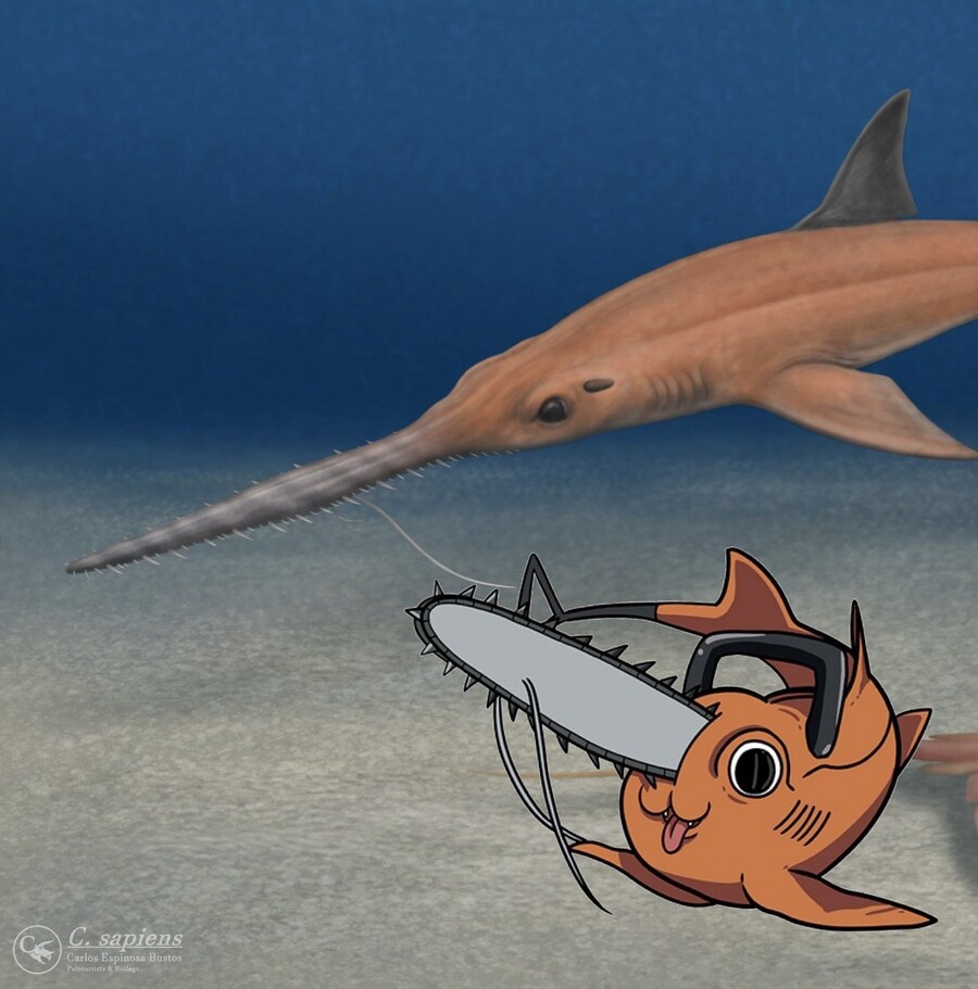 의외로 실존하는 포치타_2.jpg