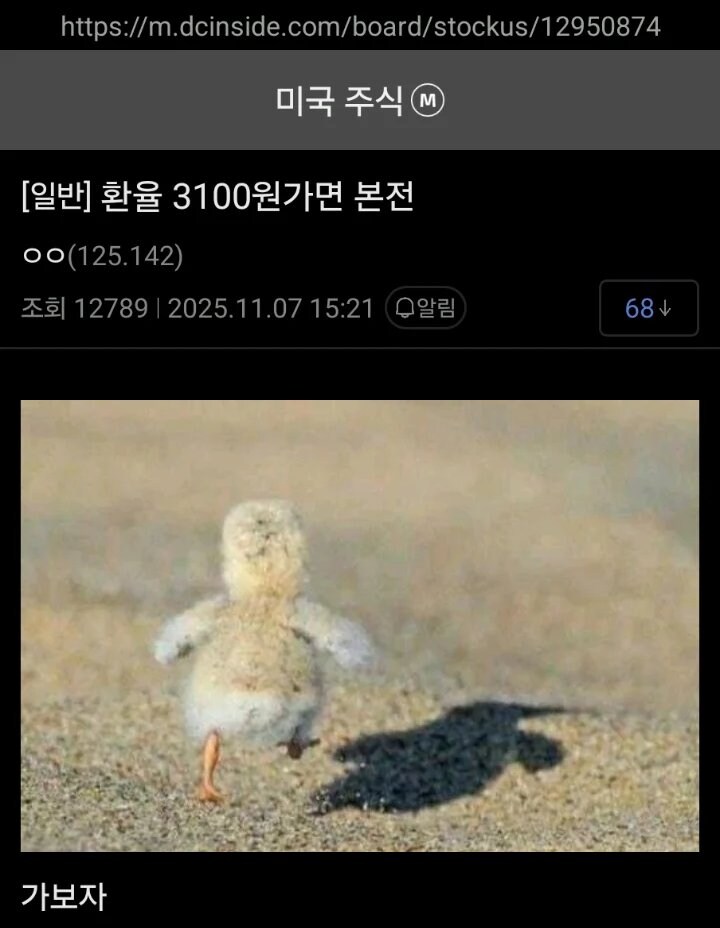 주식 몰린 개미의 마지막 한수_1.jpg