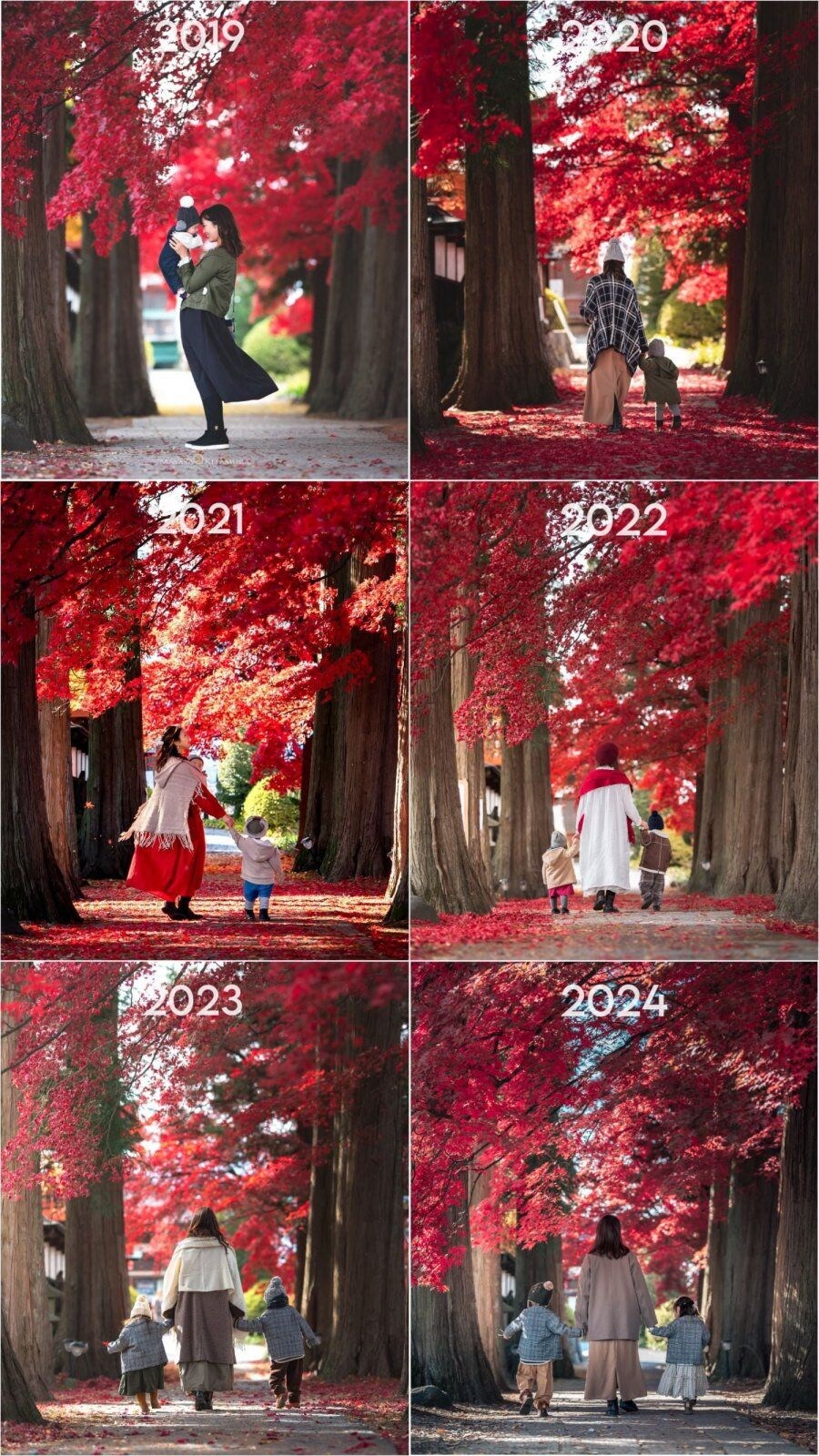 6년간 같은 장소에서 찍은 사진들 jpg._1.jpg