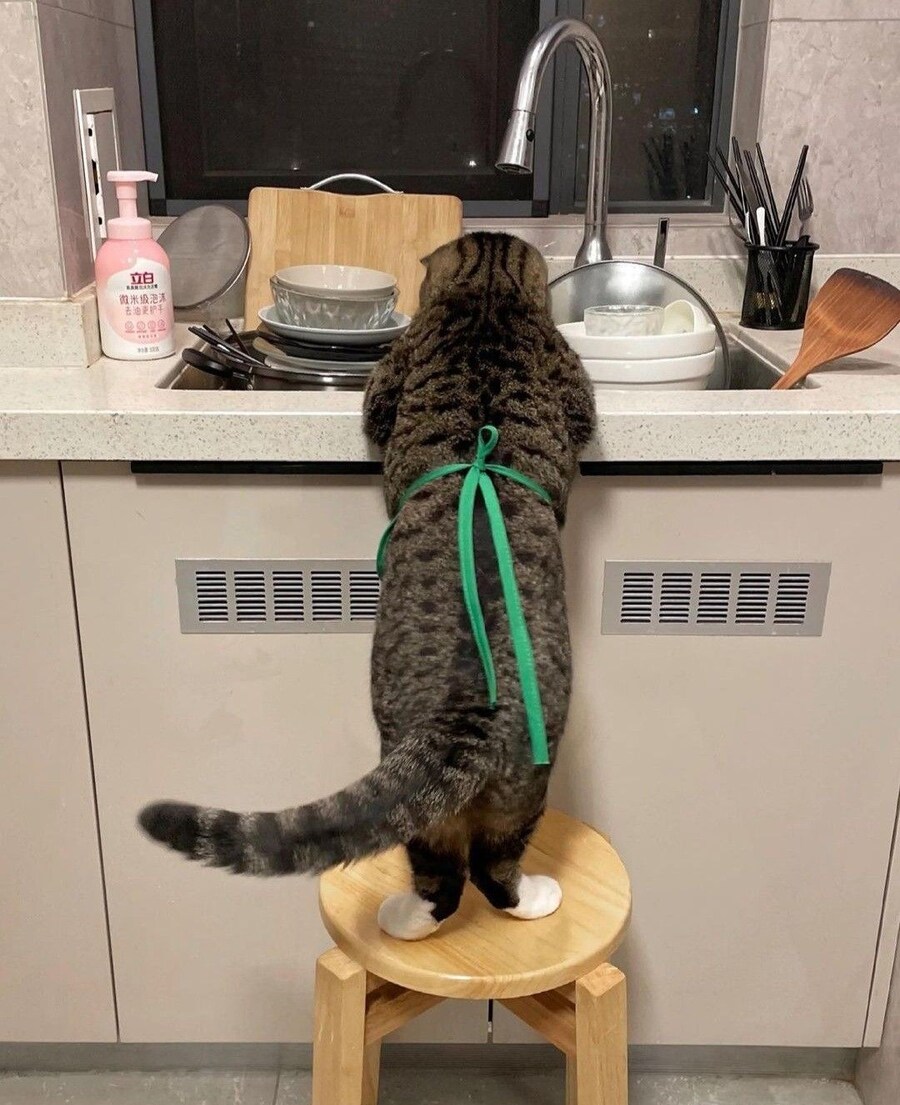 하여간 이놈의 집구석 집안일은 나만 하지_1.jpg