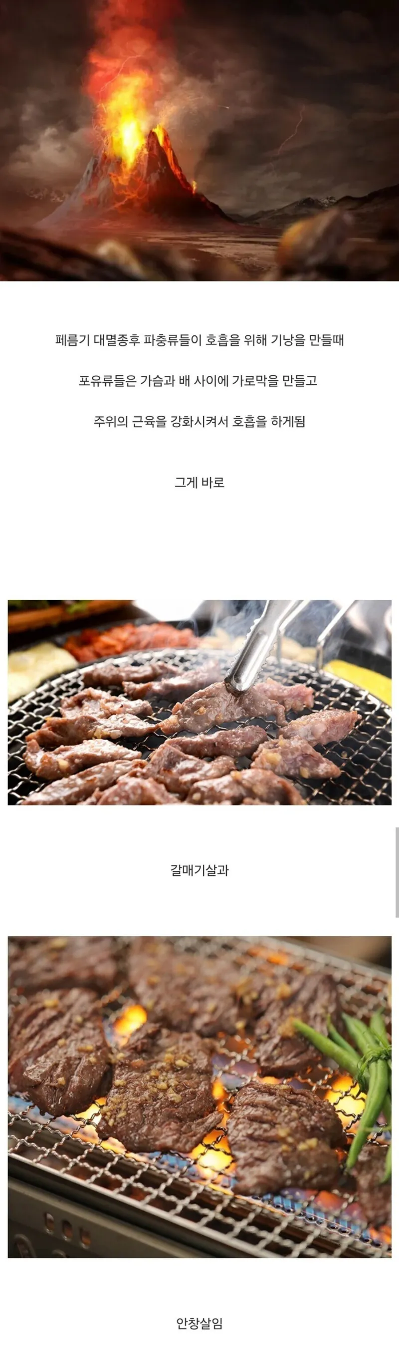 페름기 대멸종이 인류에게 남긴 선물.jpg_1.webp