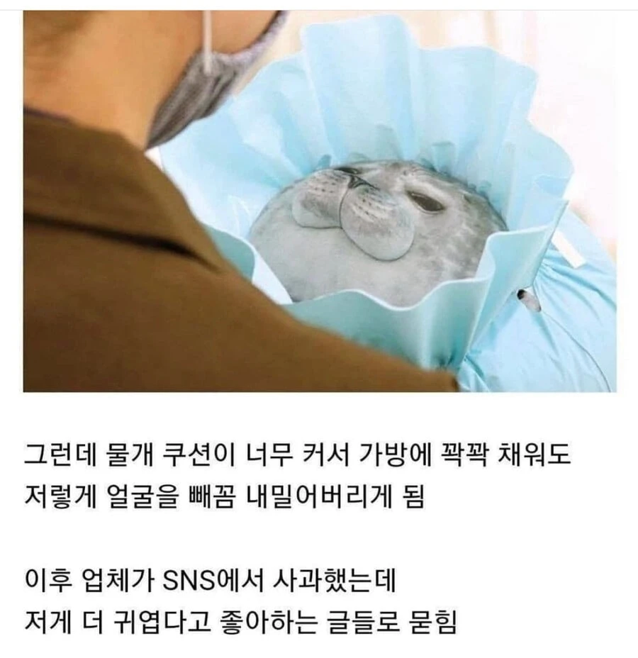 포장이슈로 업체가 사과했는데 고객반응은 오히려 좋았던 경우.JPG_3.webp