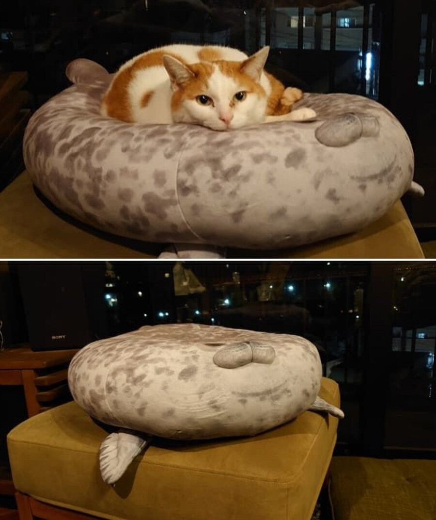 포장이슈로 업체가 사과했는데 고객반응은 오히려 좋았던 경우.JPG_4.jpg