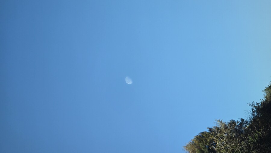 이분이 이시간에 왜 여기에...??_1.jpg