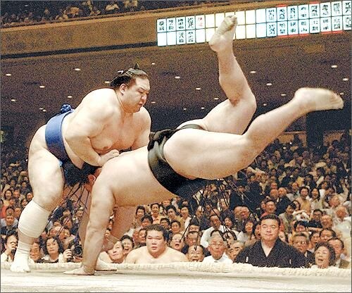 일본 스모대회 우승자가 한국 음식점 못들어가는 이유.JPG_1.jpg