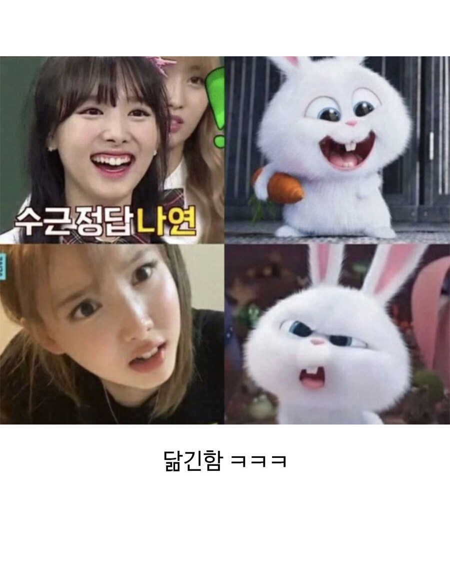 트와이스 해외 카메라 감독 메뉴얼_3.jpg