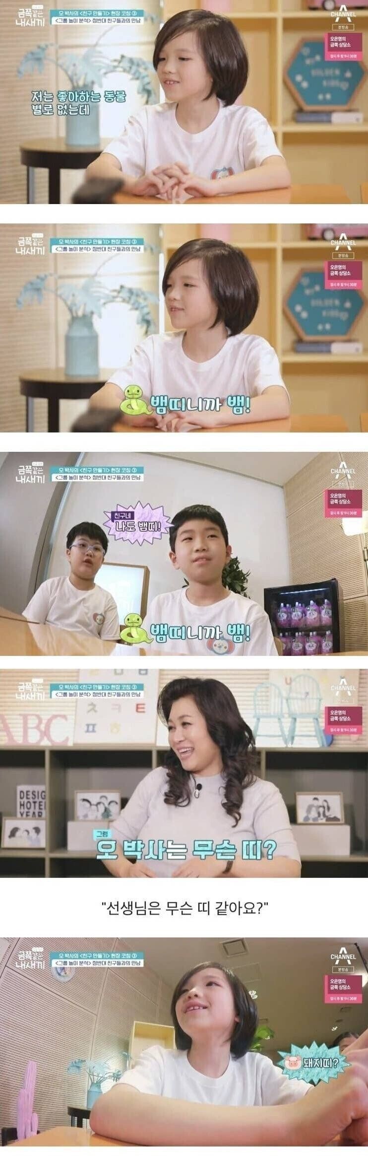 좋아하는 동물 없다는 금쪽이.jpg_1.jpg