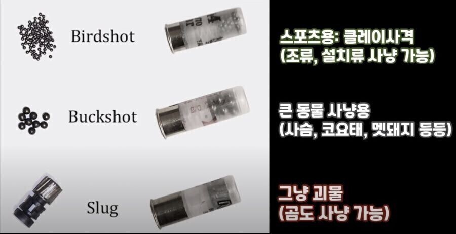 샷건에 쓰는 총알 종류.jpg_1.jpg