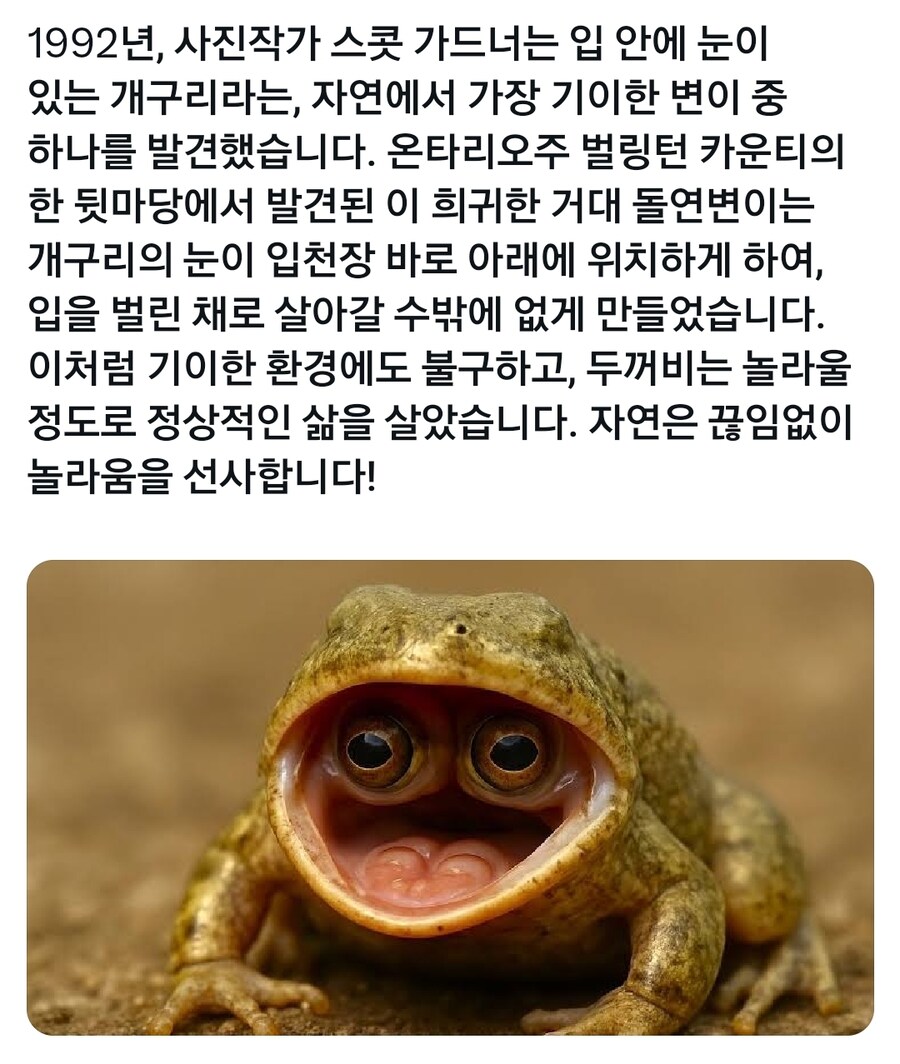 이래도 살아지네 세계선수권 수상자_1.jpg