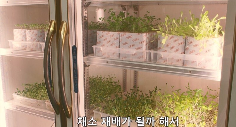 90년대 남극기지의 식생활_10.jpg