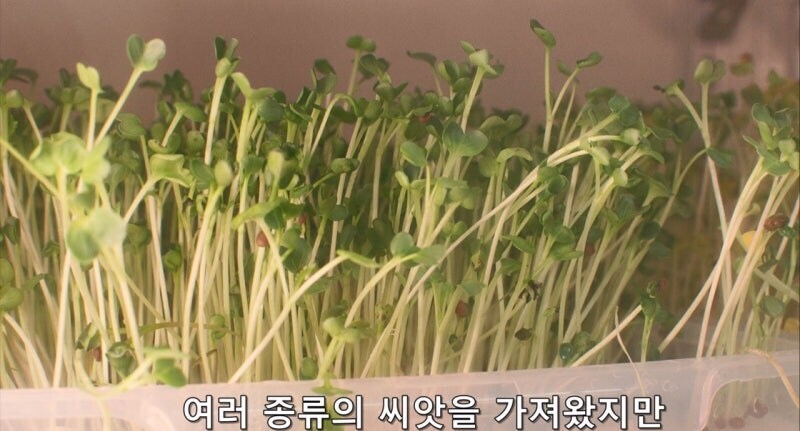 90년대 남극기지의 식생활_11.jpg