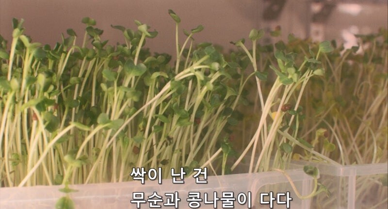 90년대 남극기지의 식생활_12.jpg