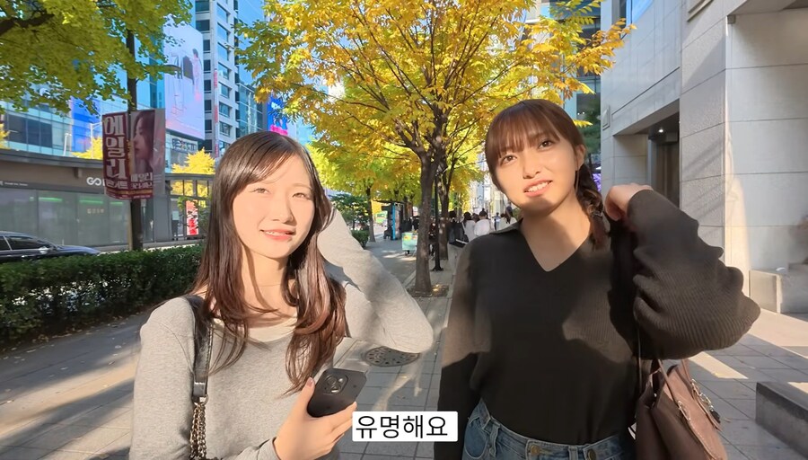 한국혐한 유튜버가 일본에서 유명하긴 한가보네..._12.jpg