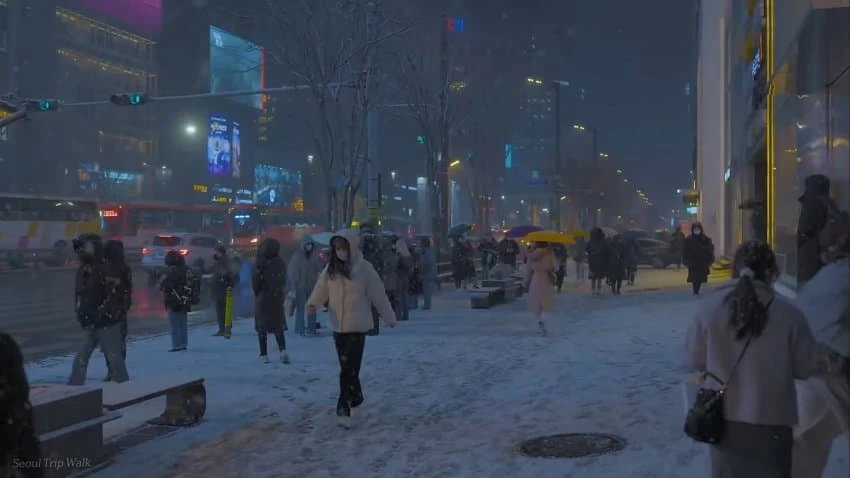 남미 소녀가 눈오는 한국 거리 영상을 보고 남긴 댓글_3.webp