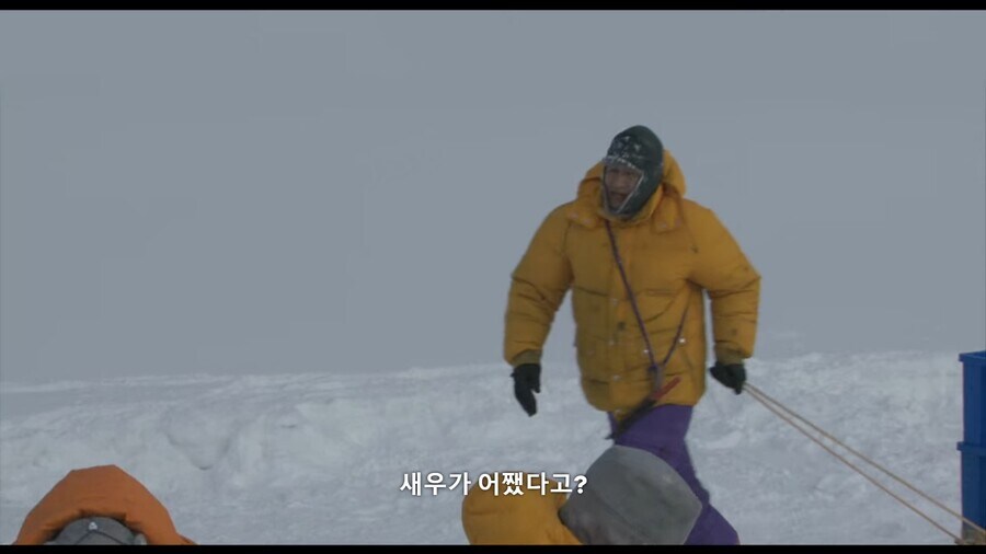 새우 하면 역시 새우 튀김이지!_5.jpg