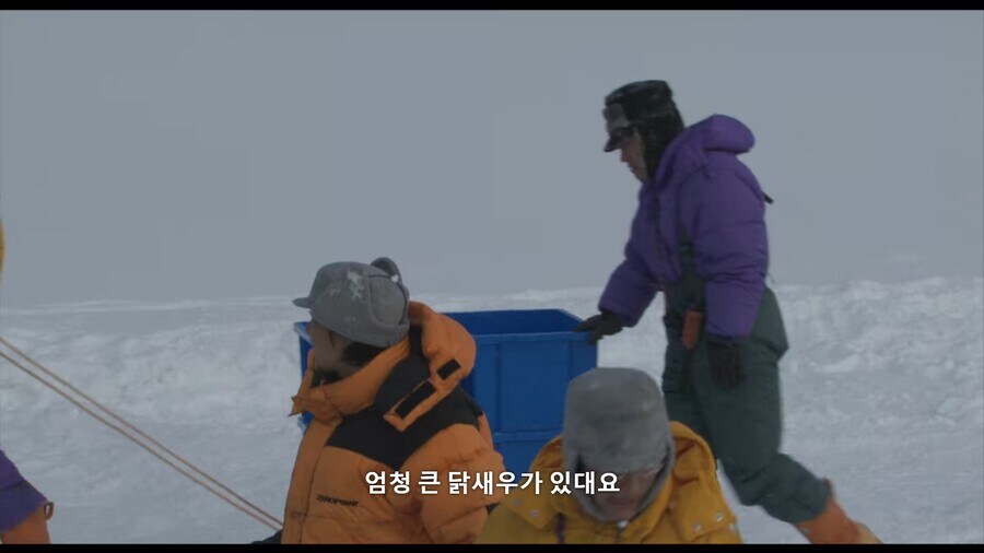 새우 하면 역시 새우 튀김이지!_6.jpg