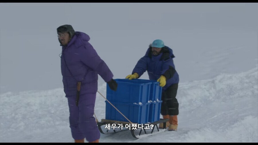 새우 하면 역시 새우 튀김이지!_9.jpg