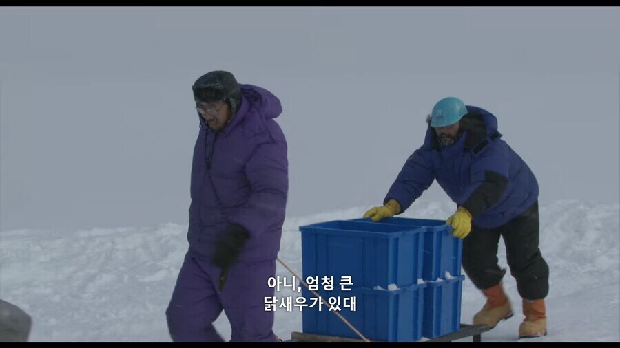 새우 하면 역시 새우 튀김이지!_10.jpg