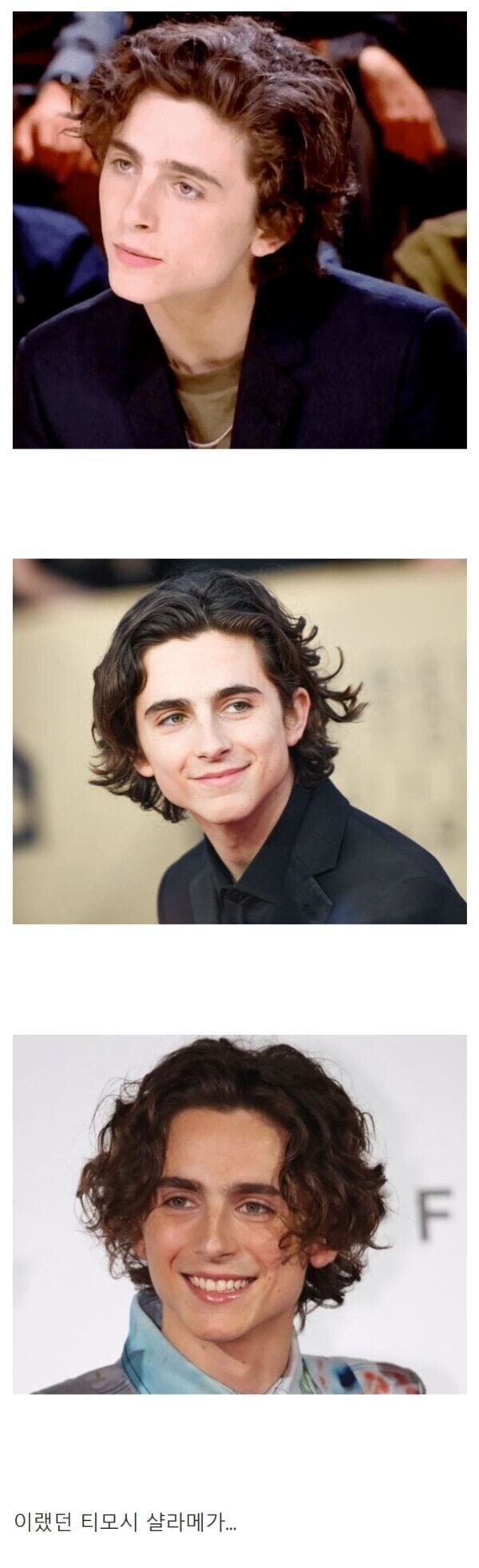 머리빨이었다는 티모시 샬라메.jpg_1.jpg