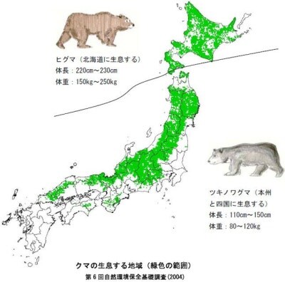 일본 곰 피해 의외의 사실_2.jpg
