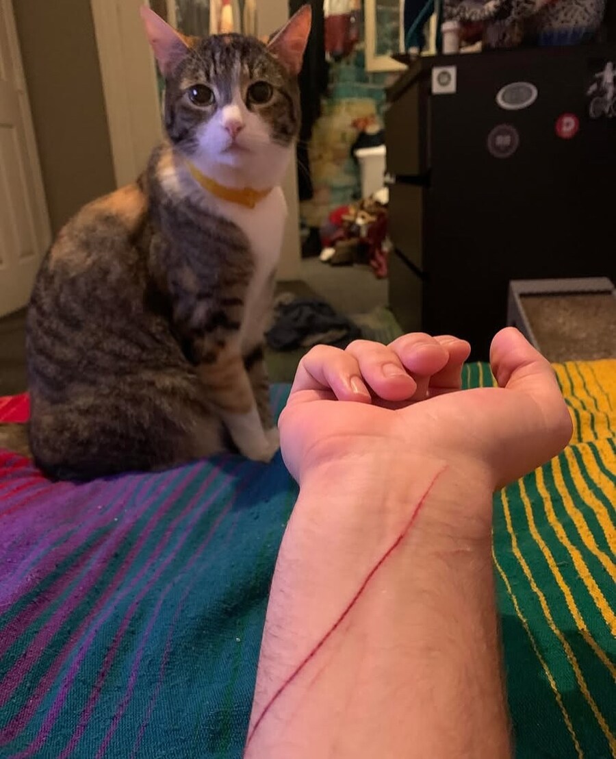 잘못을 뉘우치고 있는 킹냥이_1.jpg