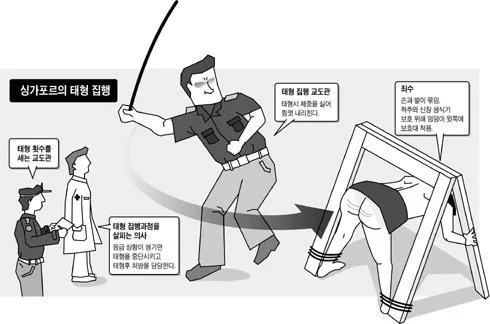 요새 왜이렇게 20대 30대 40대 갈라치기가 심해진거냐_1.webp