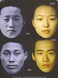 한국인 평균 외모_1.jpg
