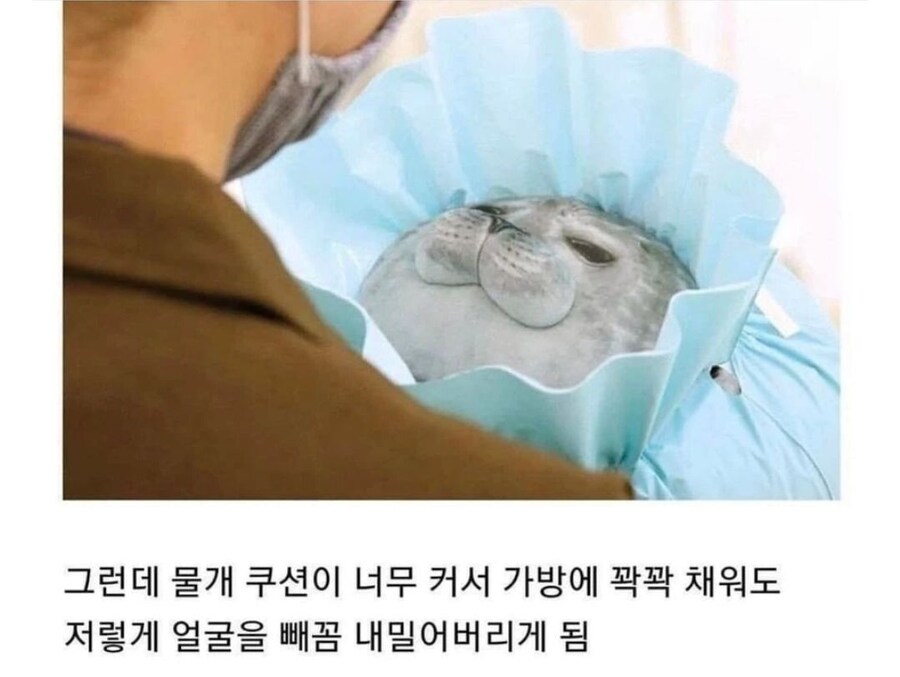 물개쿠션의 단점_1.jpg