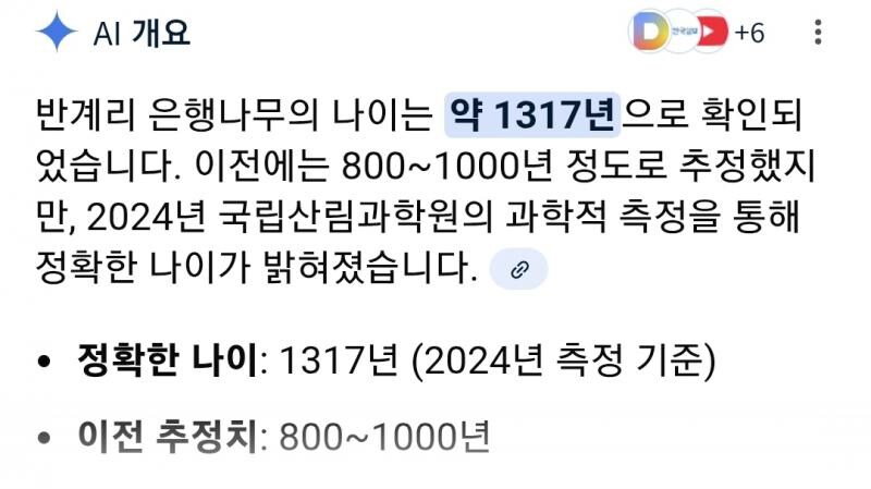 한국의 위그드라실로 꼽히는 나무.jpg_5.jpg