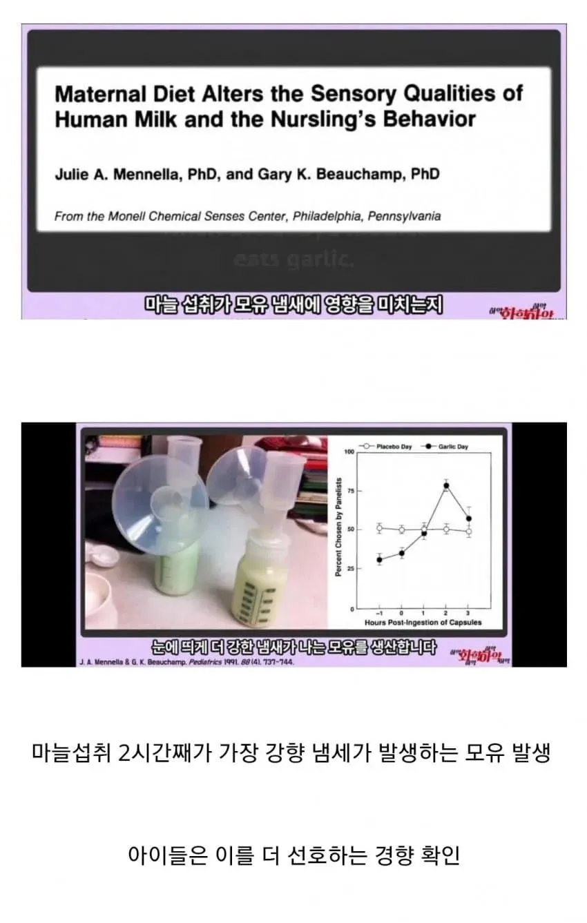 마늘이 모유에 미치는 영향_1.webp